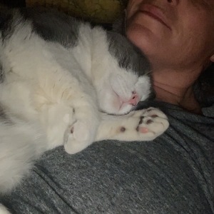 Fundraising Page: Liz Hilliard